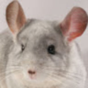 Meet your Posher, Seth